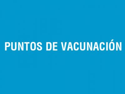 Puntos de vacunación contra la influenza en Viña del Mar