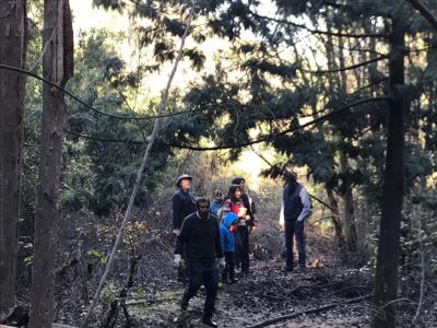 COMITÉ AMBIENTAL DE CODAR RECIBE CON ALEGRÍA LA APROBACIÓN DEL REGLAMENTO DE LEY DE HUMEDALES URBANOS (Ley 21.202)