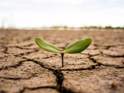 2 de Diciembre: Conferencia Cambio Climático, ¿Qué es?, ¿Por qué pasa?, ¿Qué se está haciendo y qué puedo hacer yo?