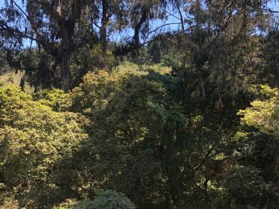 17 de Diciembre: Conferencia Quebrada de agua, un encuentro con la naturaleza.