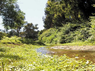 Jueves 5 de Noviembre conferencia “Los humedales son vida”