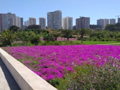 CODAR visita nueva urbanización La Foresta de Reñaca y lo que será el futuro parque de la zona