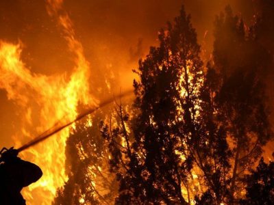 ¡Evitemos los incendios forestales!