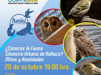 Conferencia ¿Conoces la Fauna Silvestre Urbana de Reñaca? Mitos y Realidades