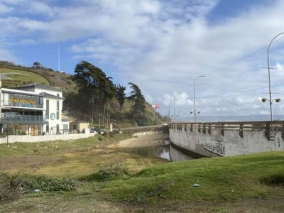 Ministerio de Medio Ambiente declara admisible la solicitud de que Estero de Reñaca sea declarado Humedal Urbano.