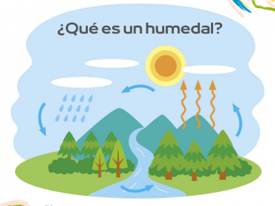 ¿Qué es un humedal?