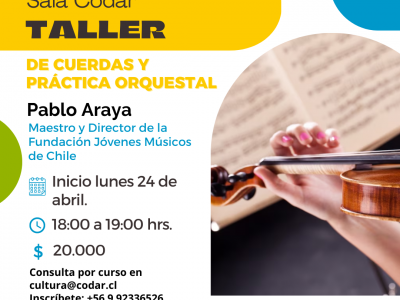 Taller de cuerdas y práctica orquestal