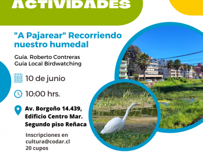 Sábado 10 de junio, 10:00 am. “A Pajaerar” Recorriendo nuestro humedal.