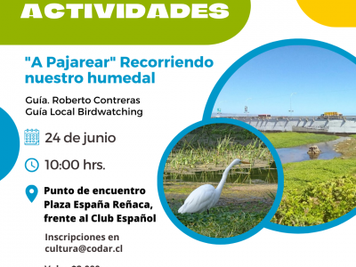 24 de junio Actividades “A Pajarear” Recorriendo nuestro humedal