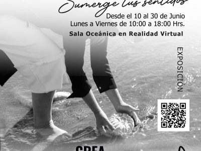 Exposición “Sueños de Mar”