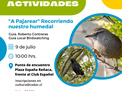 9 de Julio “A Pajarear” Recorriendo nuestro humedal