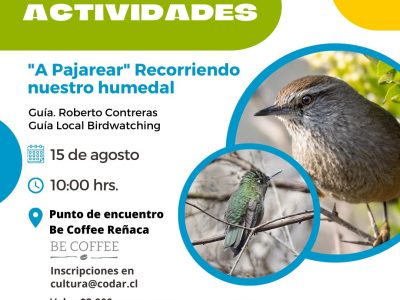 “A PAJAREAR” RECORRIENDO NUESTRO HUMEDAL