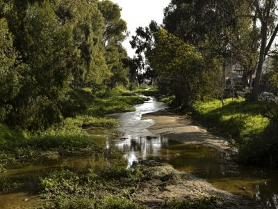 Día Internacional de los humedales. Te invitamos a recorrerlos. ¡Protégelo!
