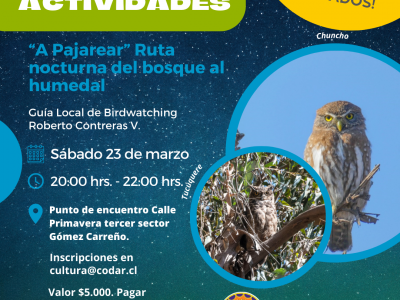 “A Pajarear” Ruta nocturna del bosque al humedal 23 de marzo