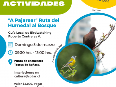 “A Pajarear” Rutal del Humedal al Bosque. 3 de marzo