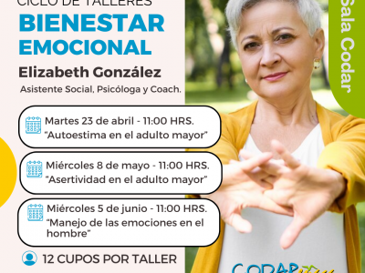 Ciclo Talleres Bienestar emocional