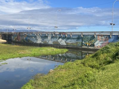 D.O.H INICIA OBRAS DE EMERGENCIA PARA LA CONSERVACIÓN DE CAUCES DE LA CUENCA DEL ESTERO DE REÑACA