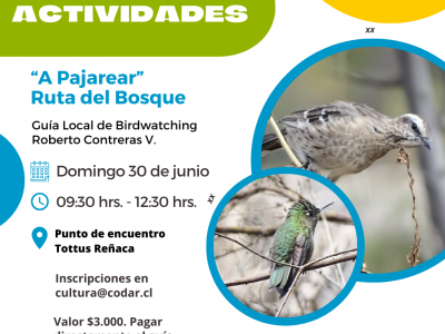 “A pajarear” Ruta del Bosque. Domingo 30 de junio