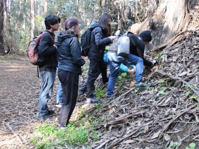 TEMPORADA DE HONGOS EN EL HUMEDAL DE REÑACA