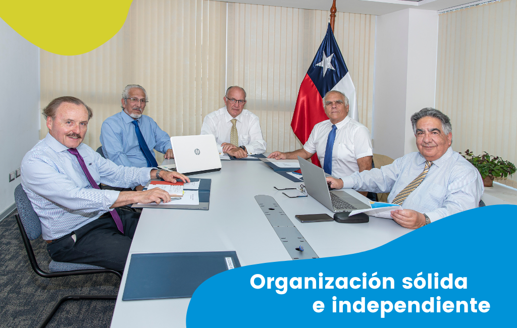 Organización sólida e independiente