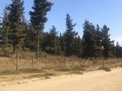 SE INICIA PROCESO DE LICITACIÓN POR PAVIMENTACIÓN CALLE RIÑIHUE